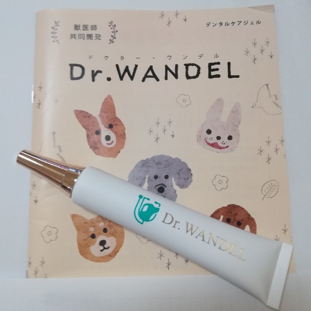 Dr.WANDEL　ドクターワンデル