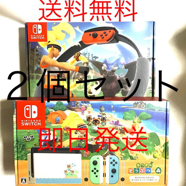 大きな取引 - Switch Nintendo どうぶつの森セット ニンテンドー ...