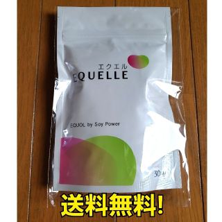 オオツカセイヤク(大塚製薬)のEQUELLE エクエル 120粒 30日分目安(その他)