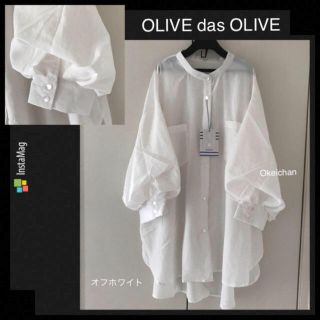 オリーブデオリーブ(OLIVEdesOLIVE)の今季AW新作☆バンドカラー袖ボリュームチュニックブラウス　オフホワイト(シャツ/ブラウス(半袖/袖なし))