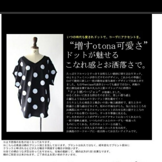 antiqua(アンティカ)のアンティカ　ドットトップス　黒 レディースのトップス(Tシャツ(半袖/袖なし))の商品写真