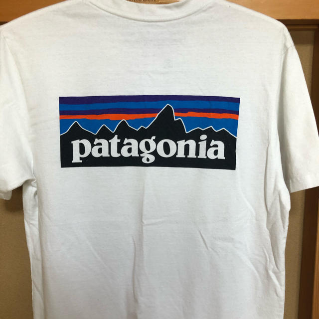 patagonia(パタゴニア)のPatagonia tシャツ　M メンズのトップス(Tシャツ/カットソー(半袖/袖なし))の商品写真