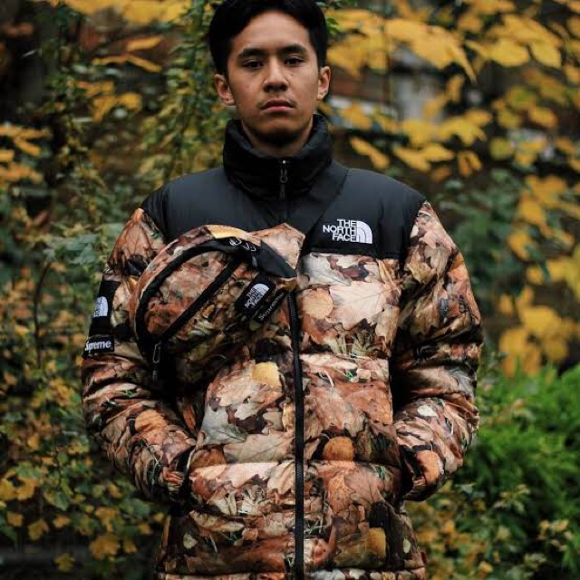 Supreme(シュプリーム)のsupreme the north face waist bag メンズのバッグ(ウエストポーチ)の商品写真