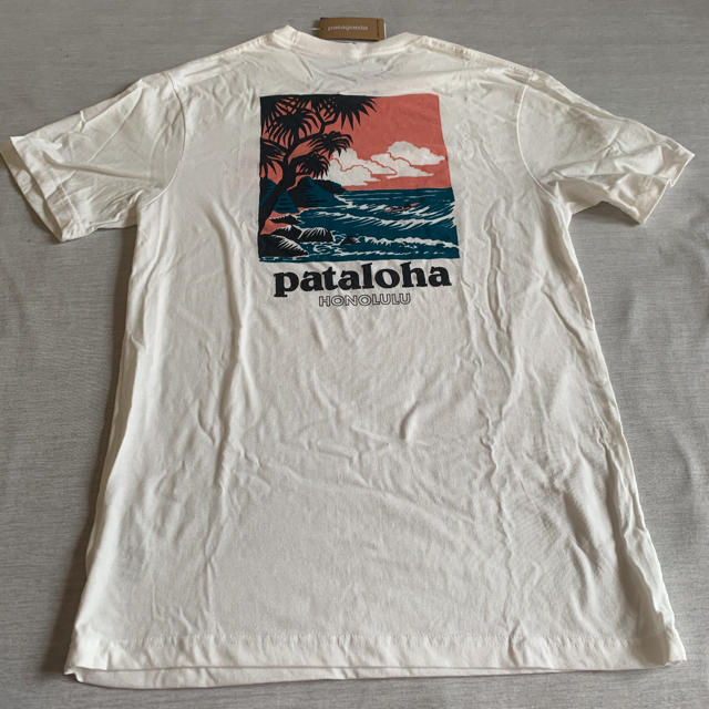 パタゴニア　Tシャツ 1