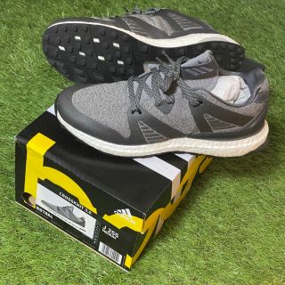 アディダス(adidas)のアディダス　ゴルフシューズ　メンズ　25.5 2019年モデル　 BB7884(シューズ)