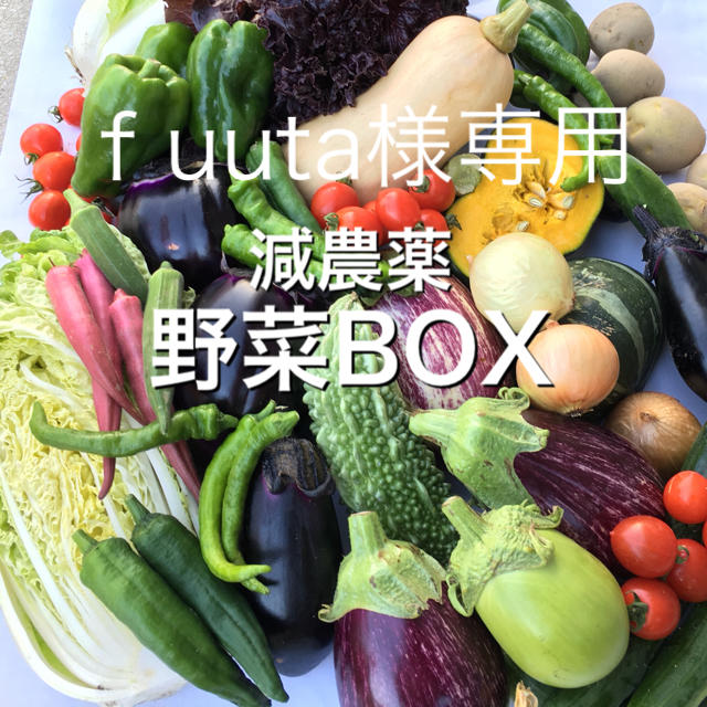 野菜BOX  5kg  Fuuta様専用 食品/飲料/酒の食品(野菜)の商品写真