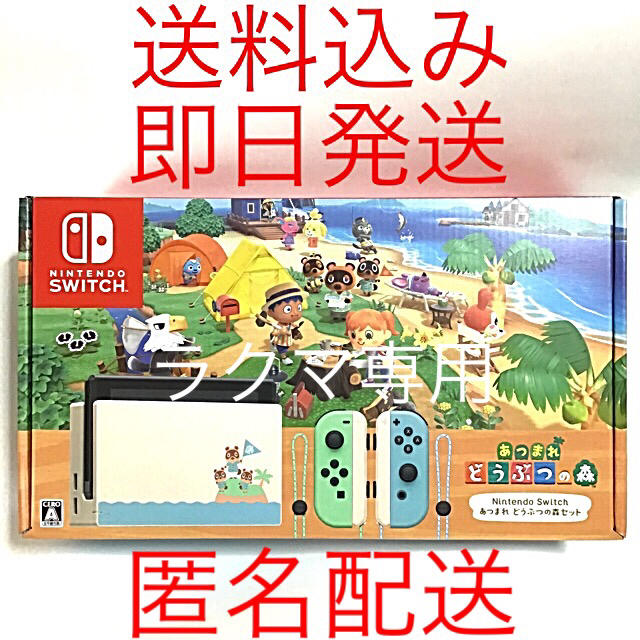 Nintendo Switch(ニンテンドースイッチ)のあつまれ どうぶつの森セット NintendoSwitch ニンテンドースイッチ エンタメ/ホビーのゲームソフト/ゲーム機本体(家庭用ゲーム機本体)の商品写真