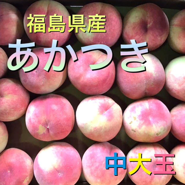 あかつき 桃 福島県産 中大玉 約2.8kg 訳あり 送料無料 地域限定 もも 食品/飲料/酒の食品(フルーツ)の商品写真