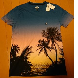 ホリスター(Hollister)の【新品】HOLLISTER ホリスター Tシャツ  XXS  サンセット(Tシャツ/カットソー(半袖/袖なし))