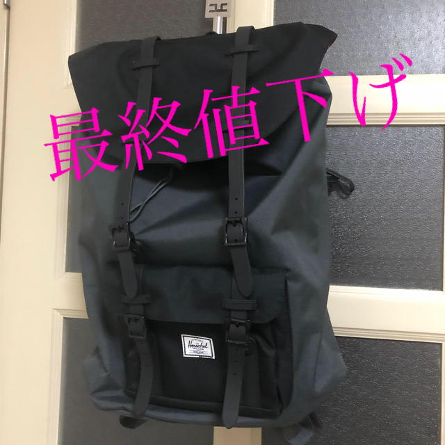 HERSCHEL(ハーシェル)のherschel リュック レディースのバッグ(リュック/バックパック)の商品写真