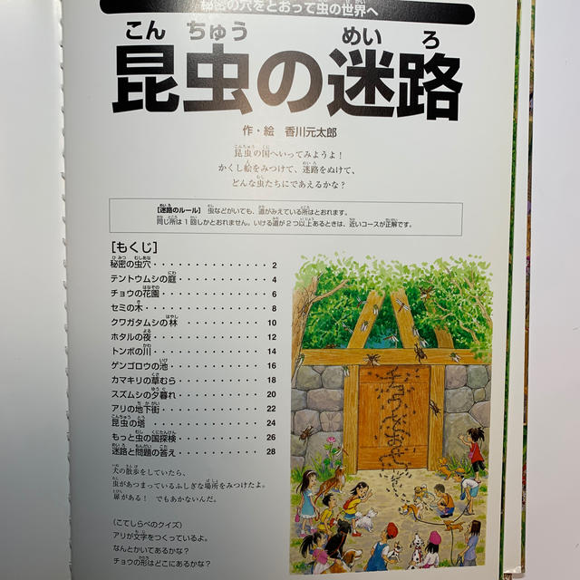 【絵本】昆虫の迷路 秘密の穴をとおって虫の世界へ エンタメ/ホビーの本(絵本/児童書)の商品写真