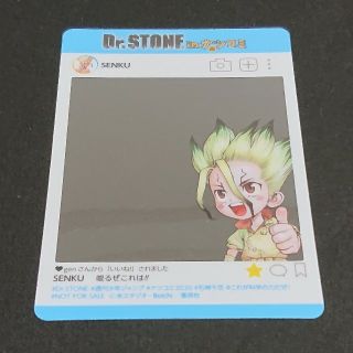 集英社 夏コミ 2020  Dr.STONE 千空 下敷き(キャラクターグッズ)