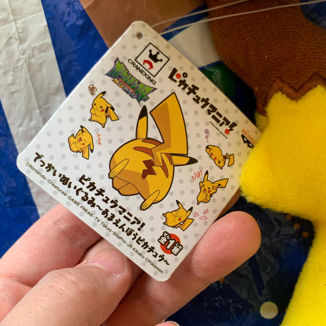 ポケモン(ポケモン)のピカチュウぬいぐるみ　2点セット エンタメ/ホビーのおもちゃ/ぬいぐるみ(ぬいぐるみ)の商品写真