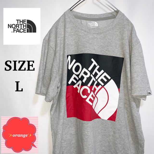 THE NORTH FACE(ザノースフェイス)の【人気】ザ　ノースフェイス　デカロゴ　Tシャツ　ゆるだぼ　Lサイズ メンズのトップス(Tシャツ/カットソー(半袖/袖なし))の商品写真