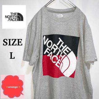 ザノースフェイス(THE NORTH FACE)の【人気】ザ　ノースフェイス　デカロゴ　Tシャツ　ゆるだぼ　Lサイズ(Tシャツ/カットソー(半袖/袖なし))