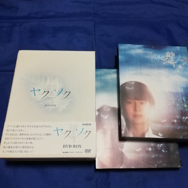 ヤクソク DVD BOX　南野陽子DVD