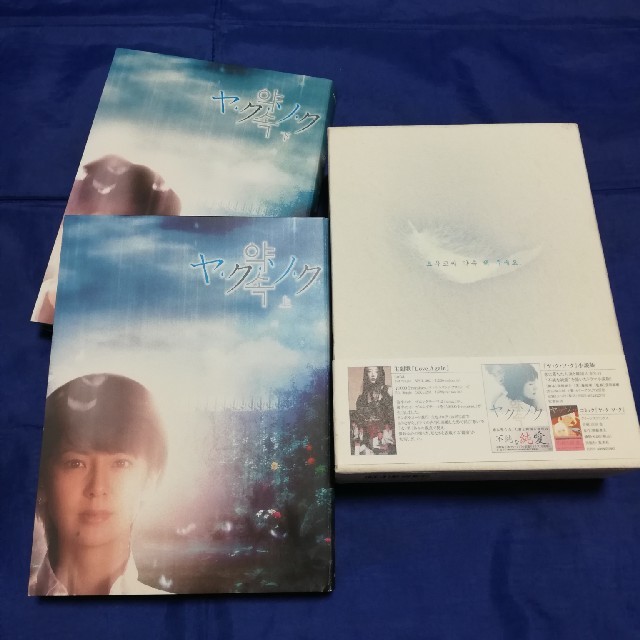 ヤクソク DVD BOX　南野陽子