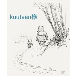 ポケモン(ポケモン)のkuutaan様 専用(外出用品)