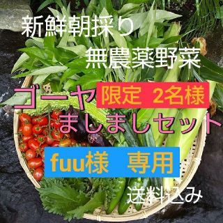 野菜箱詰め【野菜おまかせ♪野菜お試しセット】無農薬野菜  ゴーヤましましセット (野菜)