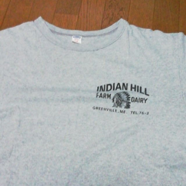 WAREHOUSE(ウエアハウス)のウエアハウス　Tシャツ　38　INDIAN HILL  メンズのトップス(Tシャツ/カットソー(半袖/袖なし))の商品写真