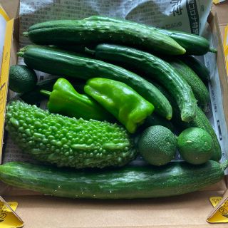 きゅうり、ゴーヤ、ピーマン、すだち無農薬(野菜)