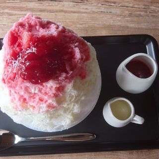 にゃーにゃーず様(その他)