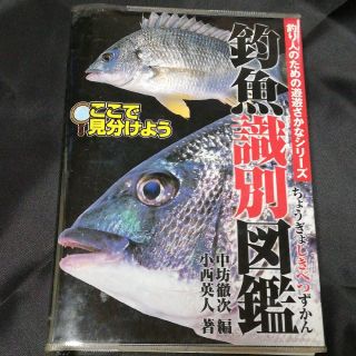 釣魚識別図鑑 ここで見分けよう(趣味/スポーツ/実用)