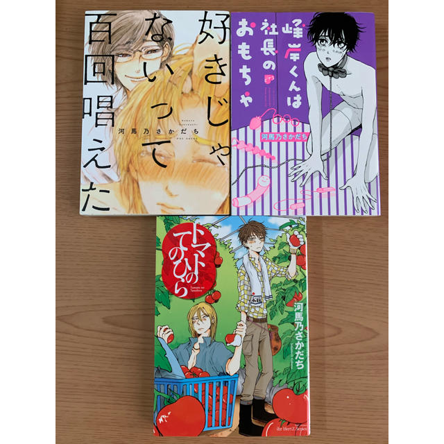 河馬乃さかだち 3冊セットの通販 By Yurii ラクマ