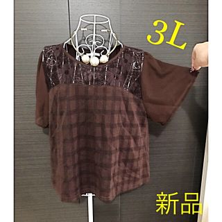 3L  レース★プルオーバー　大きいサイズ(シャツ/ブラウス(半袖/袖なし))