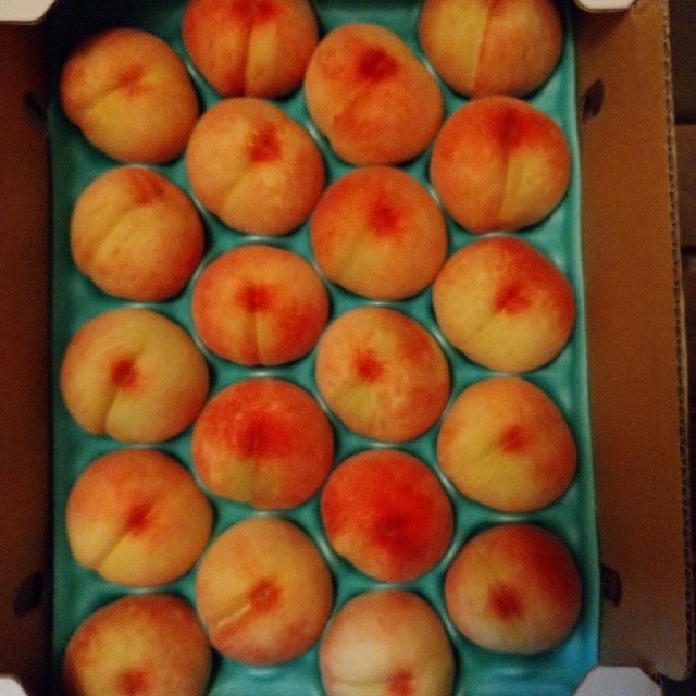 桃 果物 山梨県 5キロ  1ケースのみ 食品/飲料/酒の食品(フルーツ)の商品写真