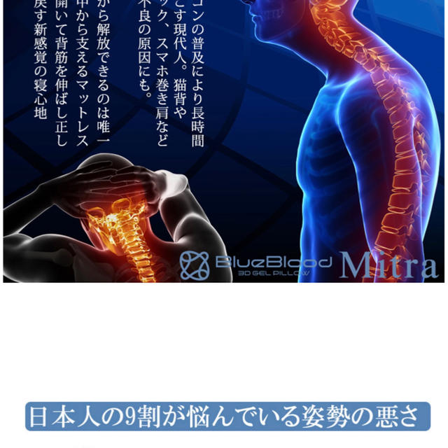 ぷるごまさま専用bluebloodの枕 2
