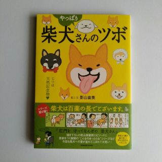 影山直美　やっばり柴犬さんのツボ　辰巳出版(住まい/暮らし/子育て)