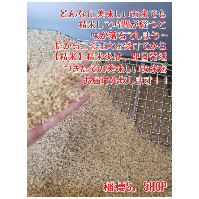 米　さがびより　即日発送】佐賀県産　特A　白米20kg　米/穀物