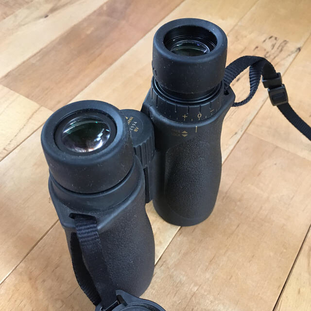 ニコン双眼鏡 10×42 上級グレード スポーツ/アウトドア その他 ニコン双眼鏡 10×42 上級グレード スポーツ/アウトドア その他