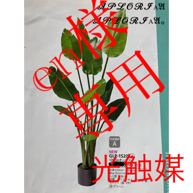 光触媒 人工観葉植物 6種とオーガスタ12060