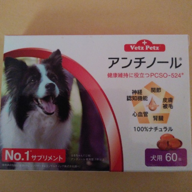 アンチノール　犬用　60粒