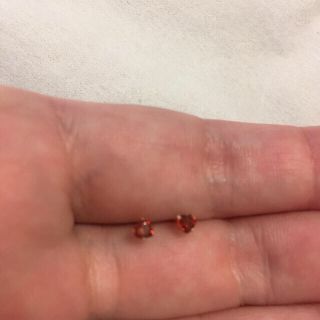 18k ピアス 18金 1月誕生石ハート型(ピアス)