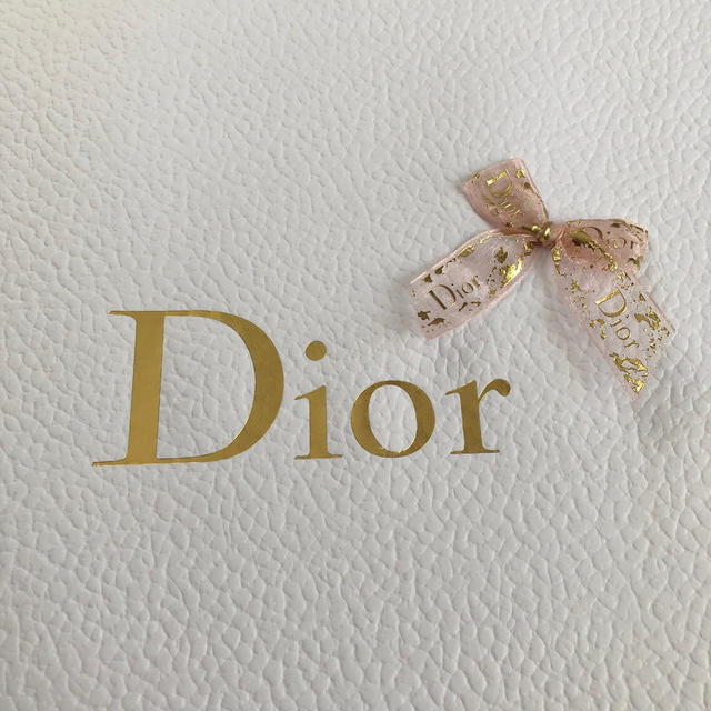 Dior(ディオール)の✨未使用品✨　Dior ショッパー レディースのバッグ(ショップ袋)の商品写真