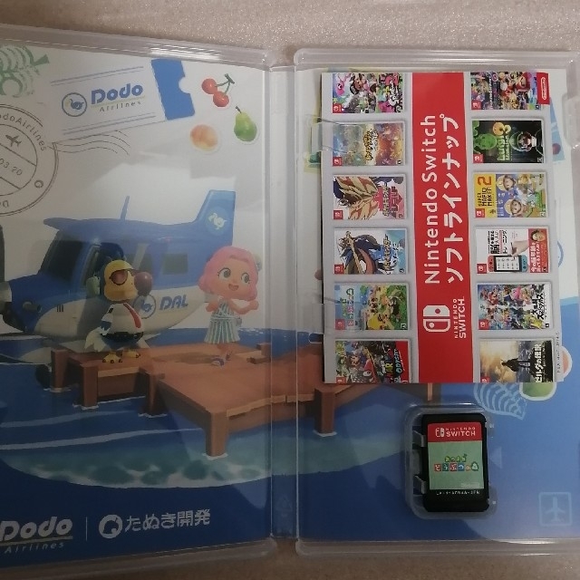 【すぐ始めたい方】Switch lite どうぶつの森 2