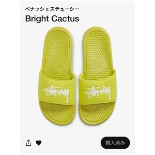 ステューシー(STUSSY)のNIKE  BENASSI × STUSSY(サンダル)