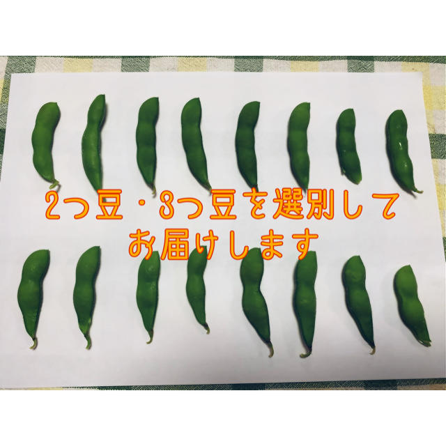 新潟県黒埼産 くろさき茶豆2kg  A品  食品/飲料/酒の食品(野菜)の商品写真