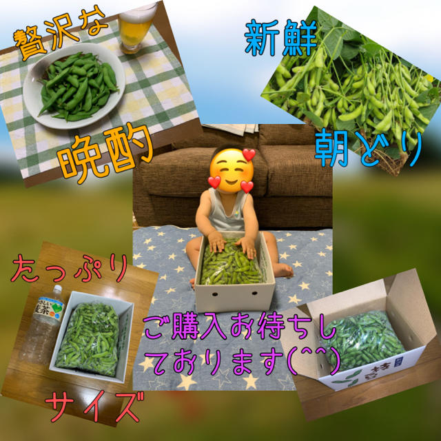 新潟県黒埼産 くろさき茶豆2kg  A品  食品/飲料/酒の食品(野菜)の商品写真