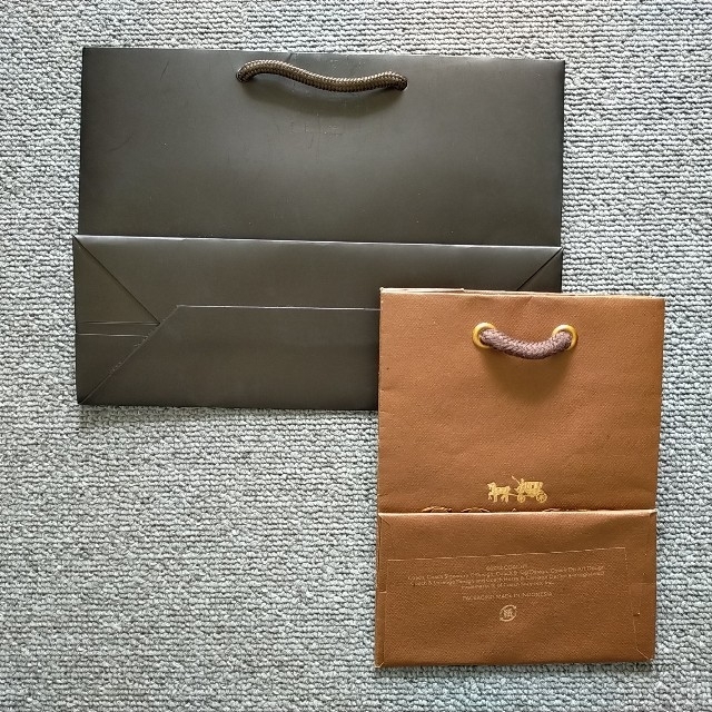 Gucci(グッチ)の【お値下】〈2枚セット〉ショッパー(GUCCI /COACH) レディースのバッグ(ショップ袋)の商品写真