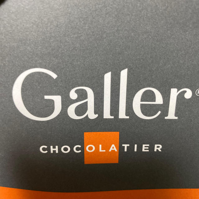 【未使用】Galler ショップ袋　ショッパー レディースのバッグ(ショップ袋)の商品写真