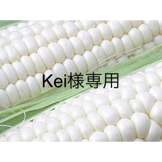 Kei様専用産地直送！雪の妖精10本！限定50ケース！8月3日～7日まで限定販売(野菜)