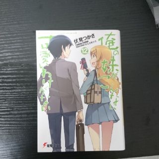 アスキーメディアワークス(アスキー・メディアワークス)の俺の妹がこんなに可愛いわけがない １２(その他)