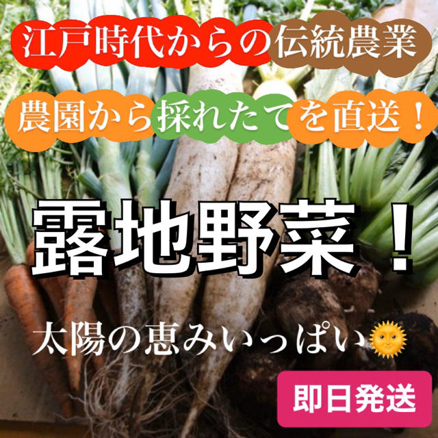 100サイズ【江戸時代から続く伝統農業】農園から直送☆旬の野菜詰め合せ 食品/飲料/酒の食品(野菜)の商品写真