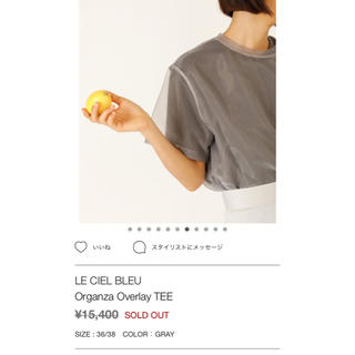 ルシェルブルー(LE CIEL BLEU)のLE CIEL BLEU 新品(カットソー(半袖/袖なし))