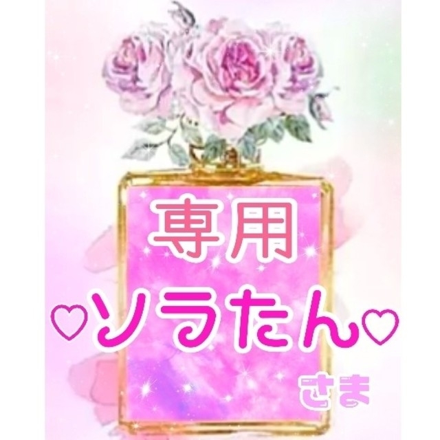 本物の ソラたん様《おしりふき本体サイズ比較》 ベビーおしりふき 本物の ソラたん様《おしりふき本体サイズ比較》 ベビーおしりふき