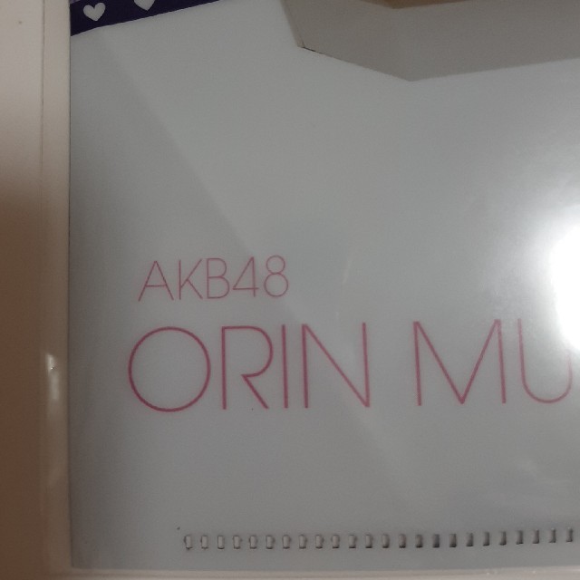 AKB48(エーケービーフォーティーエイト)のAKB48✖️スカイライナー　クリアファイル エンタメ/ホビーのタレントグッズ(アイドルグッズ)の商品写真